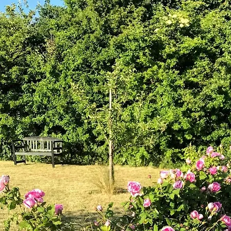 Gorgeous In Asko With Wifi * Maribo
